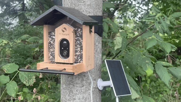 Game-Changer for Birdwatchers: This Solar Bird Feeder has an AI Camera