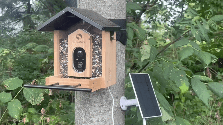 Game-Changer for Birdwatchers: This Solar Bird Feeder has an AI Camera