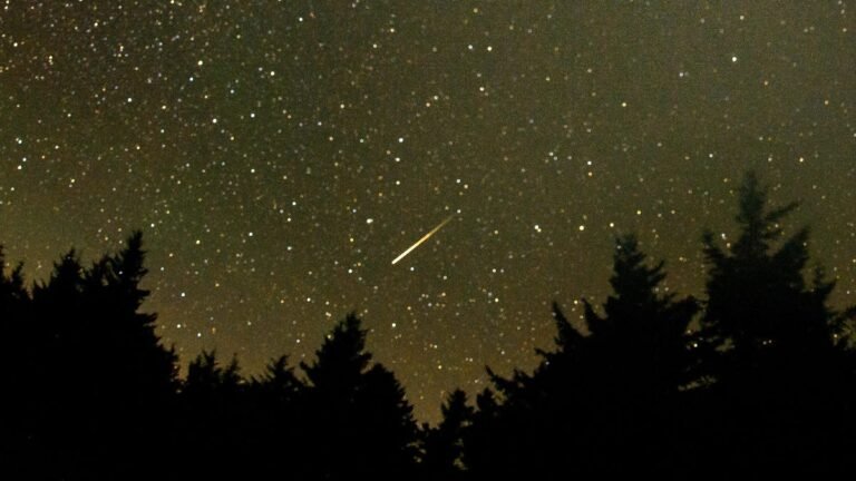 Look to the Sky: Bright Fireballs Appear During the Perseids Meteor Shower