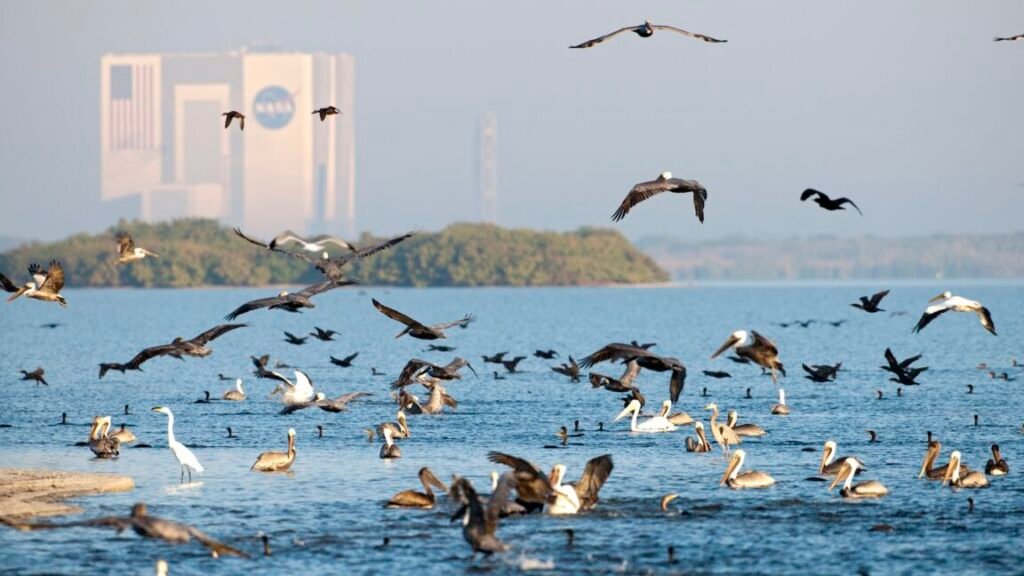 Trump orders cull of regulations governing commercial rocket launches