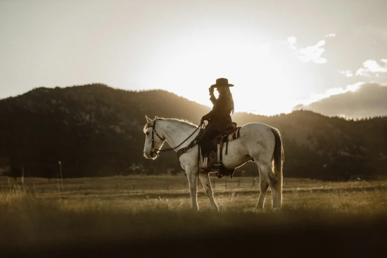 Best Family Friendly Westerns to Stream With Kids