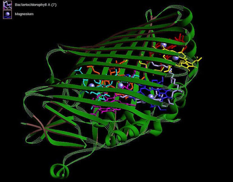 A biological 0-day? Threat-screening tools may miss AI-designed proteins.