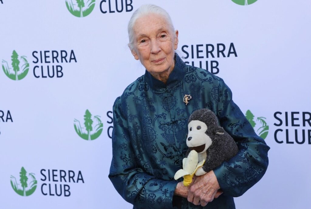 Primatologist Jane Goodall, 91, dies during U.S. tour