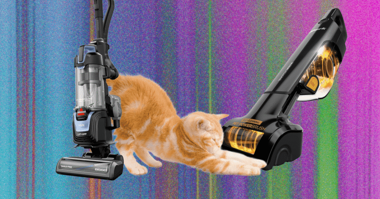 The Best Vacuum for Pet Hair—We Tested a Dozen Models to Find Which Work Best (2025)