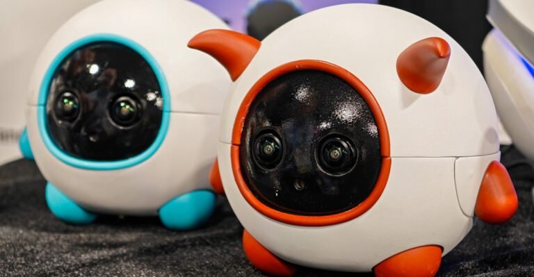 This robot companion is a cameraman for your pet