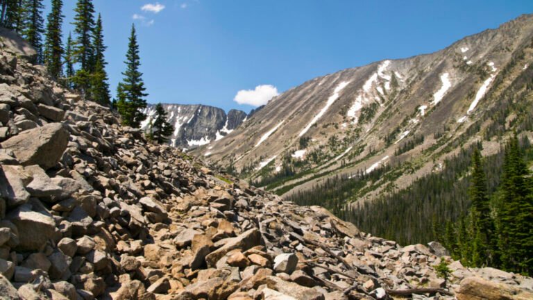 US Black Hawk helicopter trespasses on private Montana ranch to grab elk antlers
