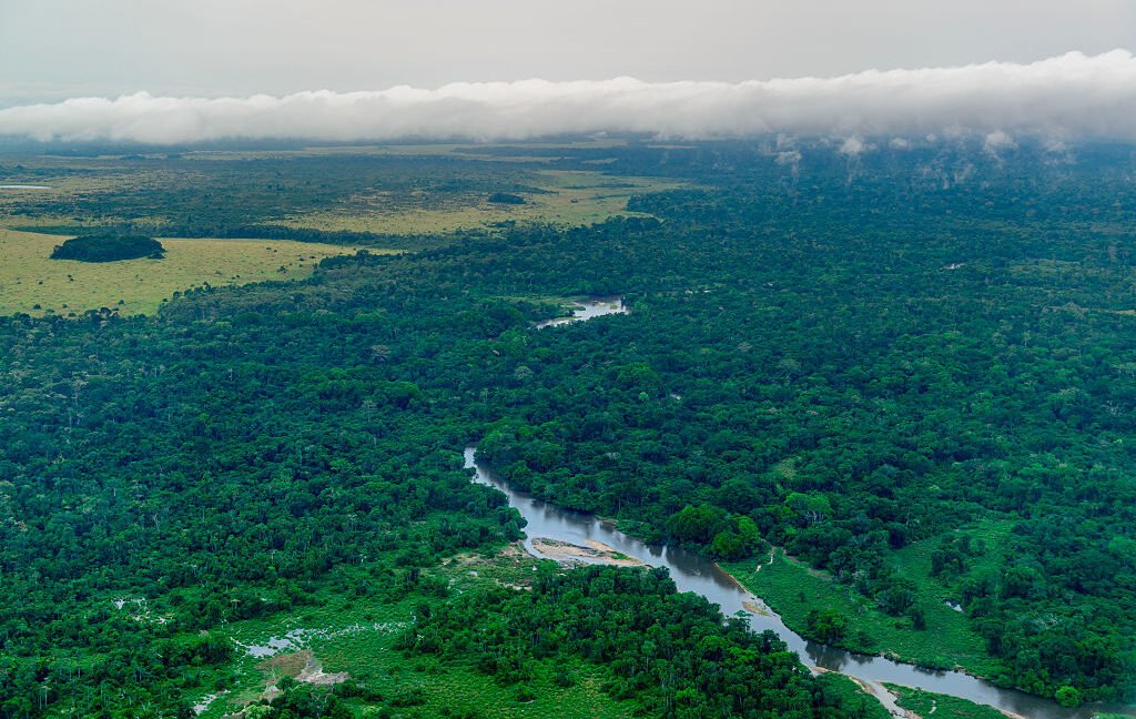 View of a river running through lush, tropical forests.