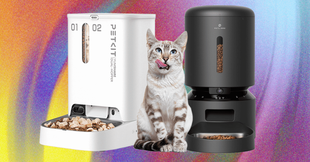 These 10 Automatic Cat Feeders Were the Best We Tested (2026)