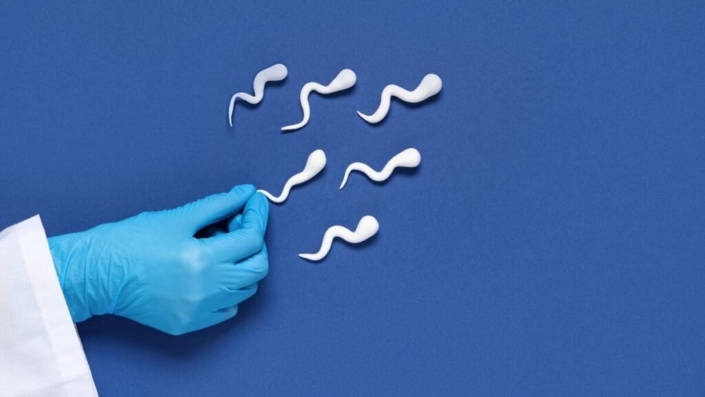 The Secret to Better Sperm? It’s Probably Already on Your Schedule The Secret to Better Sperm? It’s Probably Already on Your Schedule