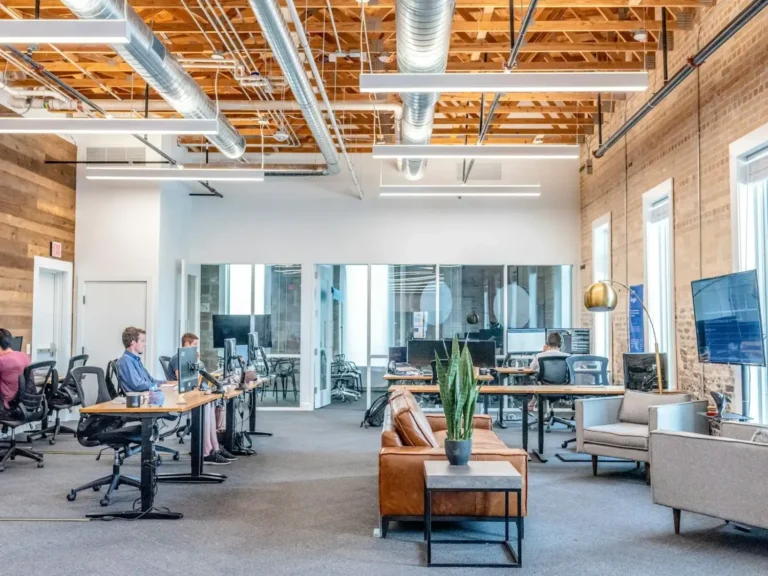 Delve Halts Demos as Insight Partners Pulls Post: What Happened