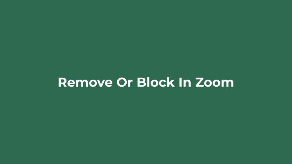 Removing a participant in Zoom