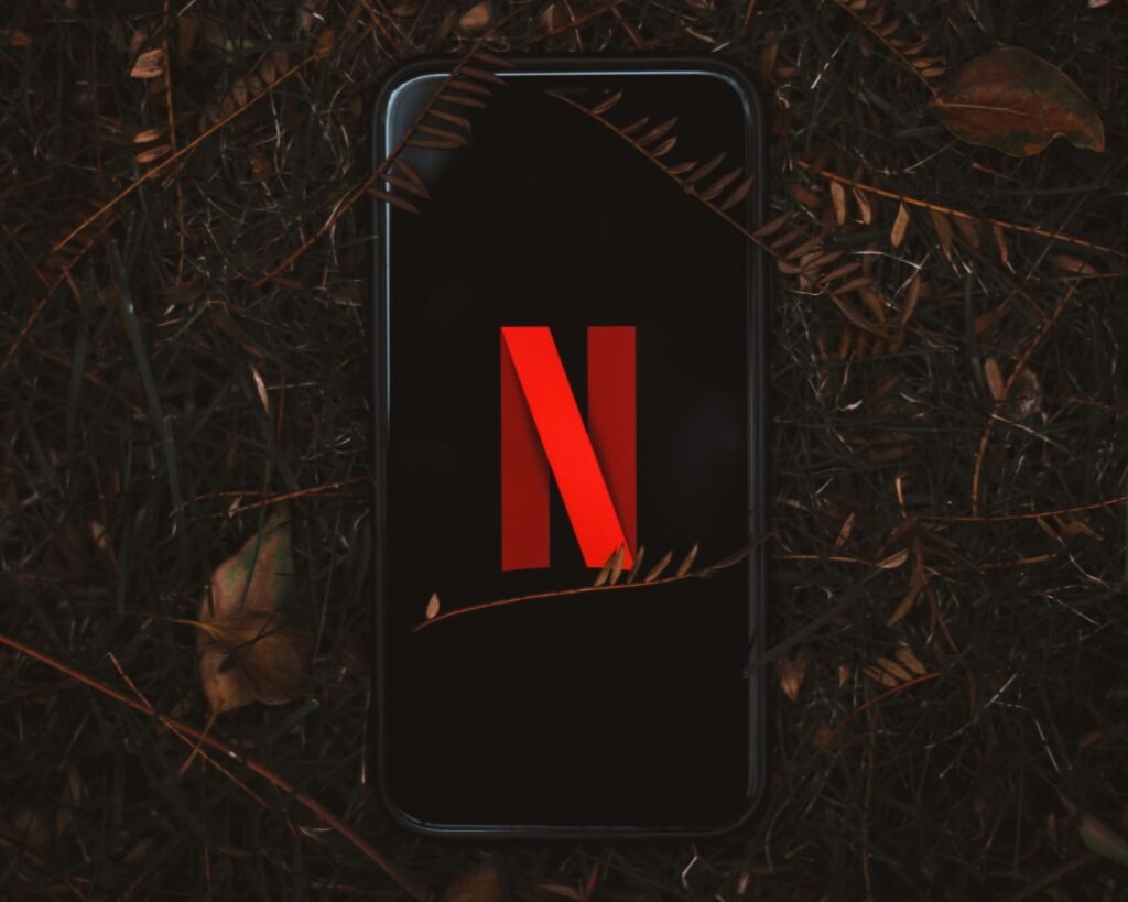 Netflix logo displayed on a smartphone screen