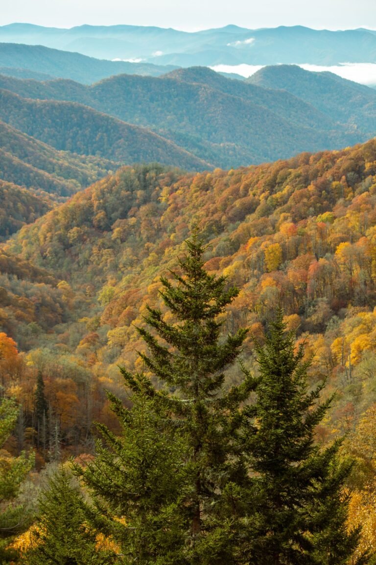 Minnesota or Tennessee: Which State Is Better to Visit?
