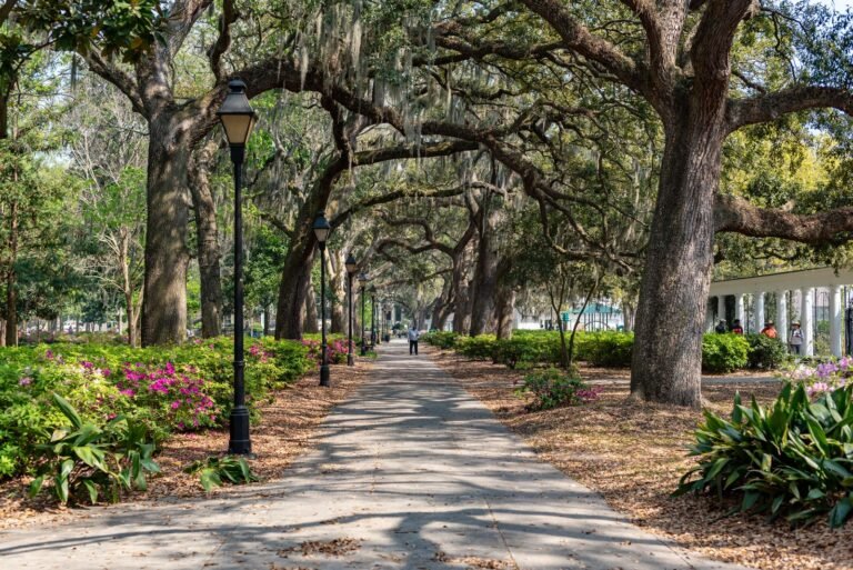 Georgia or Illinois: Which State Is Better to Visit?