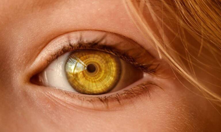 Your iPhone Has Had an Eye Tracker Since 2024. Turning It On Takes About Ninety Seconds.