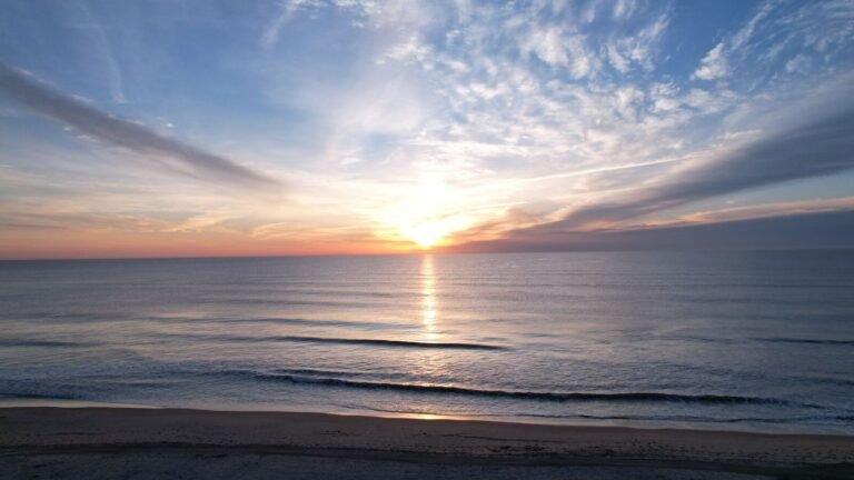 Virginia or Florida: Which State Is Better?