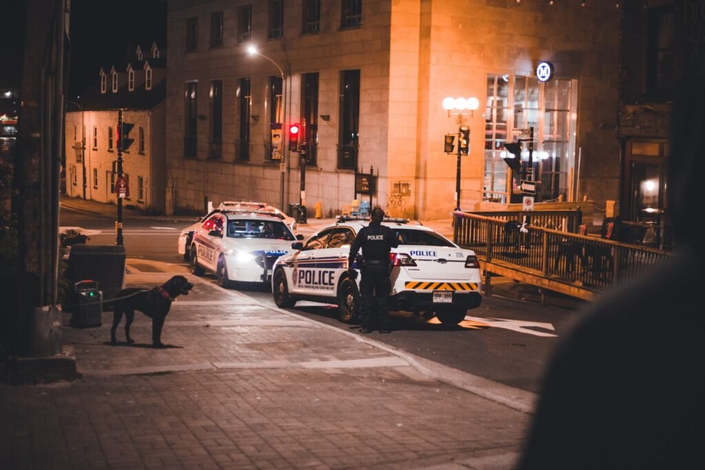 Police patrol cars parked on a city street at night, illustrating a story about tracking police vehicles with a licence plate reader