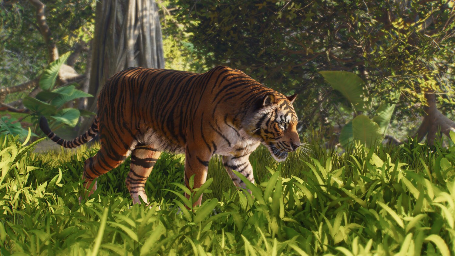 Planet Zoo 2 screenshot of wildlife in a habitat